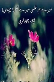 Mere Humnafas Mere Humnawa 1 & 2 by Fareeha Chaudhary
