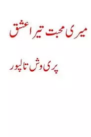 Meri Mohabbat Tera Ishq by Parivish Talpur