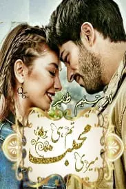 Meri Mohabbat Tum He by Tasneem Tahir