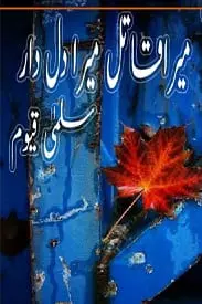 Mery Qatil Mery Dildar by Salma Qayyum