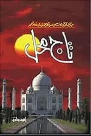Taj Mahal by Amjad Javed