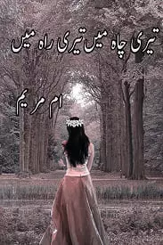 Teri Chah Mein Teri Rah Mein by Umm e Maryam