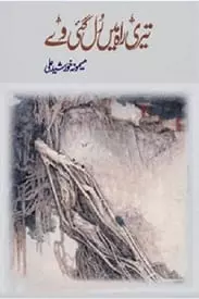 Teri Rah Main Rul Gai We By Memona Khursheed Ali