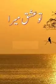 Tu Ishq Hai Mera by Asma Zulfiqar