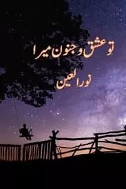Tu Ishq o Junoon Mera by Noor Ul Ain