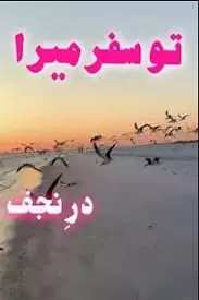 Tu Safar Mera by Dur E Najaf